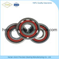 7602 Series 760203tn1 Ball Screw Ball Bearing